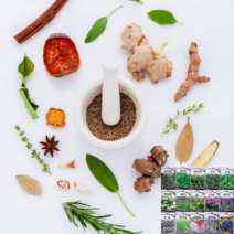 페퍼민트 타임 바질 카모마일 라벤다 루 챠빌 소렐 차이브 세이지 히숍 와일드 루꼴라 스테비아 허브 씨 씨앗 종자, 레몬밤