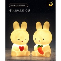 PYHO 수유등 무드등 밝기조절 국민수유등 led조명등 대형무드등 무드등, 부티크 토트백