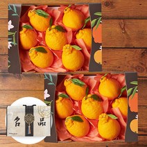 제주 한라봉 과일선물세트, 2.6kg 6-8과 x 2박스