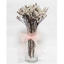 수앤로즈플라워 꽃화병세트 프리저브드플라워 안개꽃 시네신스 유칼립투스 블랙잭 드라이플라워 졸업식꽃다발 졸업식선물 꽃선물, 시네신스-화이트