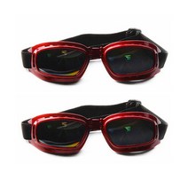 오픈런 이거 하나씩은 다 있지 댕댕이 썬글라스 고글 2개, 사각, 레드