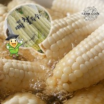 [KT알파쇼핑][팜쿡]괴산 삶은 대학찰옥수수 냉동 24개(팩당3개)