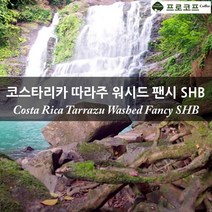 커피생두-코스타리카 따라주 워시드 팬시 SHB, 500g