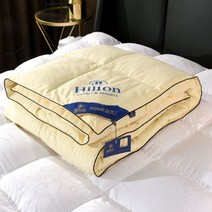 거위털 오리털이불 HILTON5 Star Hotel Duck Down Duvet 거위 침대 Bedspread Comforter 퀸 킹 깃털 퀼트 겨울 더블 담요, [04] 180x220cm 2kg, [08] H