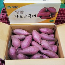 고구마영암명품 황종복 연지 꿀고구마 5/10kg 품질엄선, 1개