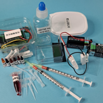 미니 전기영동 실험키트 4인용 4종[전기영동의 원리 범죄과학 제한효소(PTC미맹) 바이러스PCR], 범죄과학수사