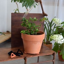 닐스샵_ 가드닝용품 캔화분 원통형화분 식물키우기 가정용화분 취미생활 업소용화분, 닐스샵_ 플라스틱 화분 받침 블럭 12개 셋트 꽃화분, 닐스샵_ 소-토분색