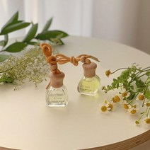 에이디스 차량용 천연디퓨저 천연방향제 차량용 디퓨져 방향제 30mL 걸이형 또는 부착형, 포에버영(민트)