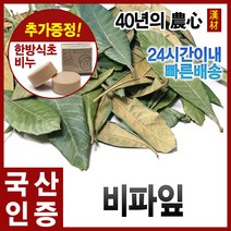 자애인 국산 비파잎 300g 비파엽 비파잎차 전남여수, 단품