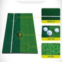 연습용 인조잔디 용품 연습 퍼팅 골프스윙매트 실내, 상품선택, 골프스윙원톤연습매트SB