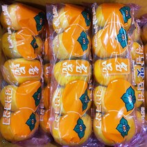 달달아삭 햇 경남 봉지단감 5kg 10kg, 1.봉지단감 5kg 소과
