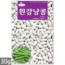 백작두콩 씨앗 10립 - 작두콩 작두콩씨앗 작두콩씨 콩씨앗 콩씨 씨 주말농장 텃밭, 22_흰강낭콩(30g)
