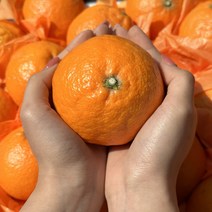 머드러기 산지직송 가정용 제주 새콤 달콤 카라향 2kg 3kg 5kg 10kg, 선물용 2kg 5-11과, 1개