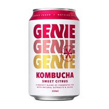 Genie 지니 스위트 시트러스 콤부차 330ml x4팩