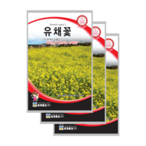 유채꽃 씨앗 1000립 3봉, 9봉