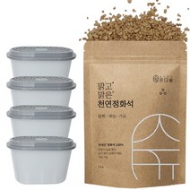 온다숲 반영구 천연 제습제 정화석, 정화석 1kg + 용기 4개