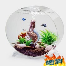 수조 어항 인테리어 장식 구피 금붕어 물고기키우기, 투명 패키지 2015L 조경