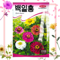 봄꽃씨 꽃씨앗 다알리아 공작초 아스타 플록스 할미꽃 샤스타데이지 나팔꽃 접시꽃 과꽃 봉선화 금계국, 천일향