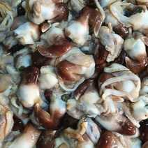 녹동수산 여수 손질 새조개 500g내외(손질전2.5kg), 단품