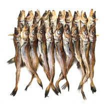 횡성맑 노가리 90일이상 자연건조숙성 건조노가리20미, 1봉, 20미