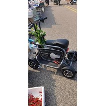 삼륜 사륜 전동 오토바이 산책 출퇴근 삼발이 전기, 4륜 2인승 1륜 구동이 주행 거리 약40km, 48V