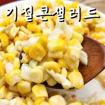 (기절반찬) 기절 콘샐러드 국산 양배추 양파 당근 반찬, 1개, 500g