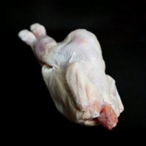 국내산 삼계 닭 생닭 삼계탕 냉장 백숙 삼계탕용 백숙용, 1개