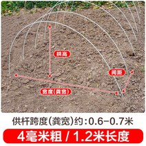 새로운 작은 아치 브래킷 야채 창고 기둥 분야 단열 FRP 단단한 유리 섬유 농업 묘목, 1000개, 두께 4mm - 길이 1.2m