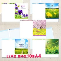 꿈마을예닮 주보 교회주보 기성 예배순서지 예쁜 칼라 팬시 청년부주보 주일학교 주보도안 주보디자인 인쇄교회 교회요람 서류봉투 설교집 교회용품 봉주보 A4 10종 추천, 3세트