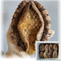 산지직송 국산 통영 자연산 전복 활전복 1kg 해녀가 직접 잡은 대 특대 왕특대 스페셜, 1_1. 대 전복 500g(5미)