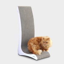 뽀떼 고양이 스크래쳐, 1개
