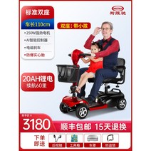 트렉 세발 전기 자전거 유아동승 전동 클래식 배달 어르신 팻바이크 2인용 삼륜 성인 짐받이, 24V, 9.2인승/20Ah리튬배터리/약60리/250W