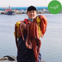최고다농수산 동해 피문어 참문어 살아있는 활 대왕문어다리 제수용문어 산지직송, A급 제수용 피문어 1kg (자숙), 1개