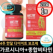 식전 아침 점심 저녁 효과빠른 다이어트 HCA 보조제 체지방 탄수화물 컷팅 커트 감소 단시간 레티날 레티놀 BMI조절 레몬밤 와일드망고 히알루론산 비타민E 해조칼슘 치커리 이눌린