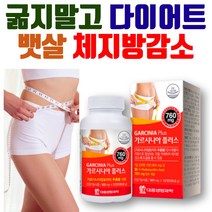뱃살 복부 내장지방 감소 에좋은 가르시니아 식전 식후 녹차 추출물 탄수화물 다이어트 영양제 남자 여자