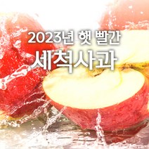 저탄소인증 껍질째먹는 경북 세척사과 당도선별 부사 개별포장 소과 중과 2kg 3kg 5kg, 5kg소과(꼬마)27~34과, 1개