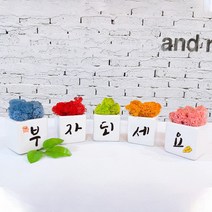 스마일컴퍼니 북유럽이끼 5색 모스 세트 아이콘 캘리그라피문구 메시지 개업 집들이 감사 승진 생일 오픈 선물 인테리어 공기정화식물 핸드메이드 순록이끼 스칸디아모스 사용, 부자 대박 행복 5색모스 세트 1개