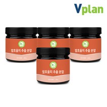 브이플랜 발효율피 추출 분말 가루 차 4통 960g 국산 밤속껍질, 4개, 240g