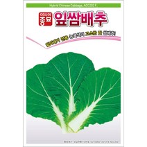 잎쌈배추 500립 배추씨 두리 씨앗 아시아종묘