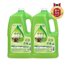 자연퐁 자연퐁 주방세제 솔잎 3.92L x2, 단일옵션
