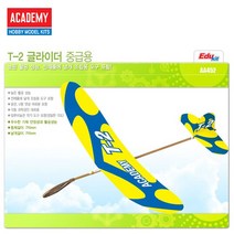 글라이더 중급용 T-2