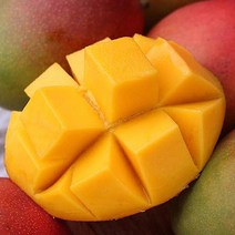 [미네픽] 열대과일의 여왕 애플망고 1박스 2kg 4kg