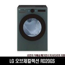 LG전자 트롬 오브제컬렉션 RD20GS 스팀의류건조기(J)