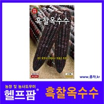 헬프팜 진한얼룩찰옥수수 80립 씨앗 종자 KS종묘