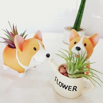 쭈bapha_예쁜 다육이화분 웰시코기 핸드메이드 테이블 식물 인테리어 이용 수작업 원예용 미니♥LtMS, ♥LtMS미소짓는코기