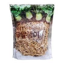 무말랭이 500g 국내산 꼬들꼬들 장아치 나물 무침 김치 반찬 무말랭이차 건강한 재료