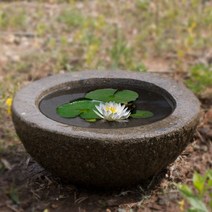 돌수반 원형30cm 수반 미니연못 수경재배 구시 돌구유 물확 돌확 원형 정원 가든 화단 장식 분수대 포토존 공원조성