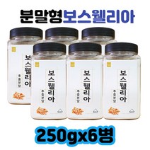 남자 여자 부모님 선물 보수엘리아 분말형 가루 보스웰리아 효능 관절 복용법 보스웰리아추출분말250gx6병 30대 40대 50대 60대 남성 여성
