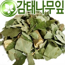 (롯데택배발송) 국산 감태나무잎 600g 잔가지포함