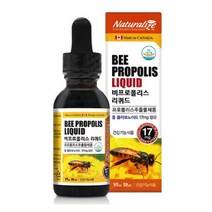 키즈 프로폴리스 리퀴드 액상 원액 스프레이 어린이 아연 BEEPROPOLIS 프리미엄 꿀 캐나다 저스트 유아 아기 프로폴리스 추출물 영양제 2000 플러스 플로폴리스 플라보노이드